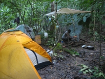 camp at Park national d' Ivindo, Gabon (photo: Aida Cuni Sanchez, 2013)