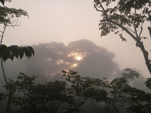 Sunrise at Langouecamp, Gabon (photo: Greta Dargie 2016)