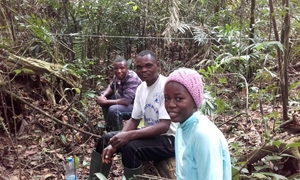 Field team, Likouala, DRC (photo: Greta Dargie 2017)