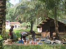 Field preparations, Noubale_Ndoki, Congo Brazzaville (photo: Aida Cuni Sanchez 2017)