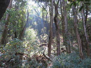 Cameroon 2018 (photo: E Chappuis)